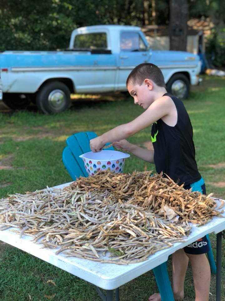 Mrs Happy Homemaker's son shelling peas in the backyard near an old blue and white ford truck 